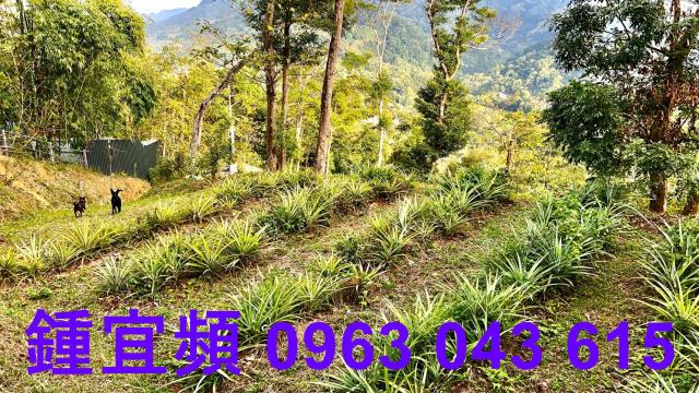 新竹北埔農地-2