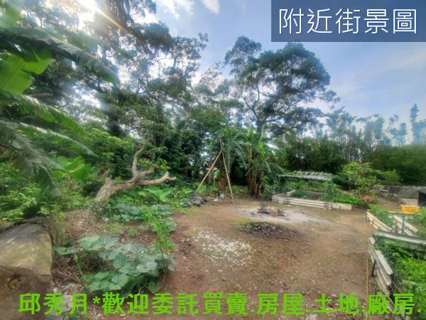 淡水農地-6