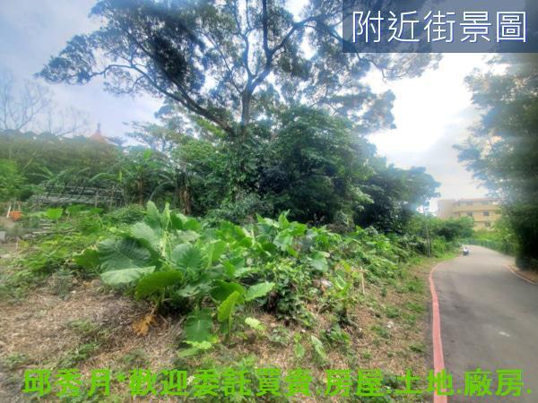 淡水農地-7
