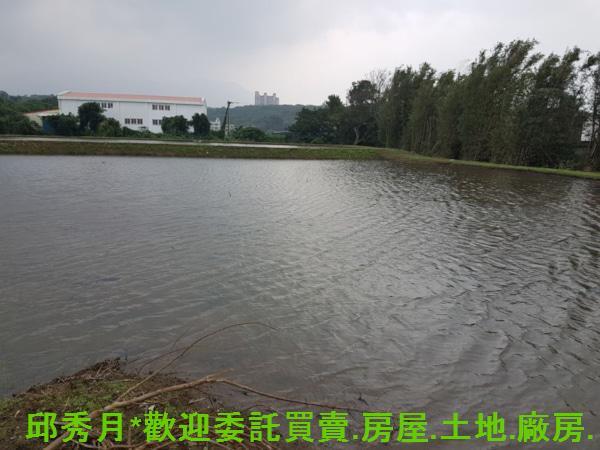 新北農地-3