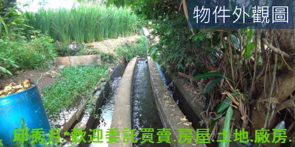 新北農地-4