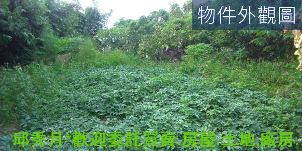 新北農地-6