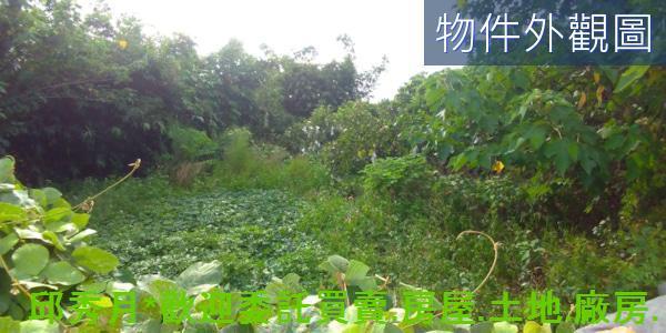 新北農地-8