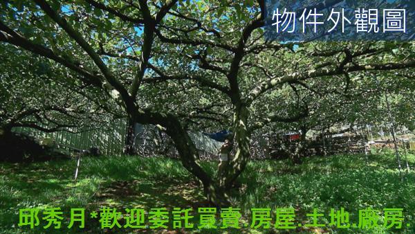 新北其他-2