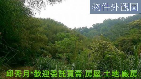新北其他-3