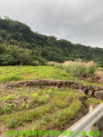 新北農地-6