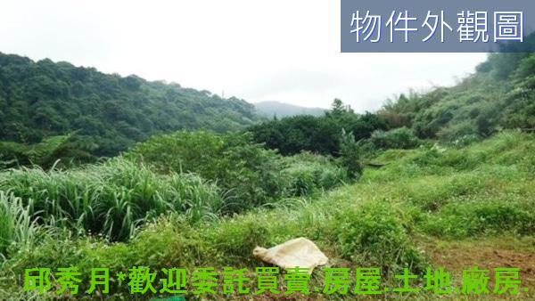 新北農地-10