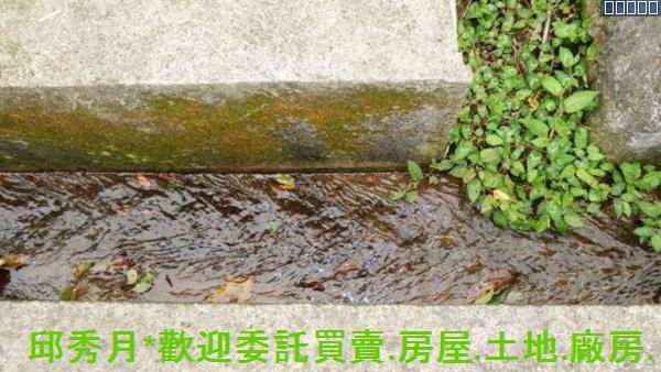 新北農地-12