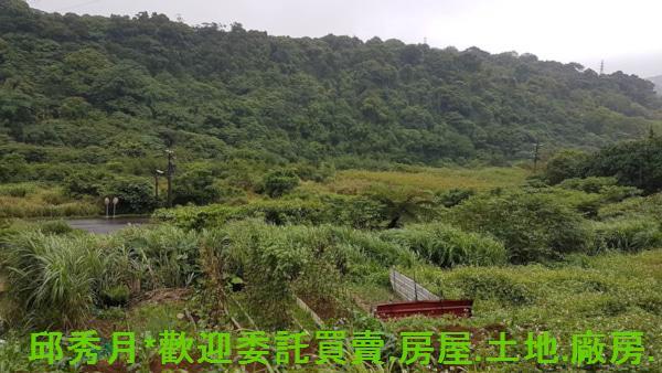 新北農地-14