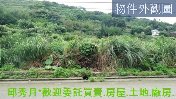 新北農地-1