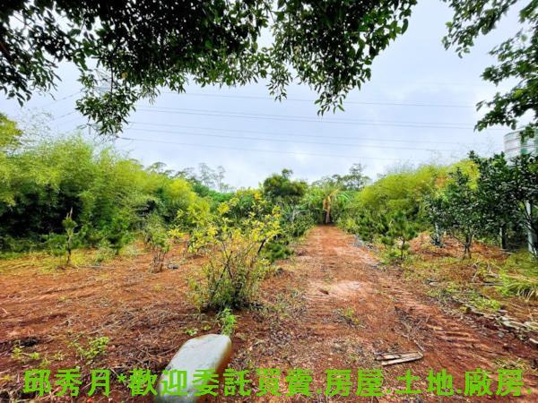 新北其他-5