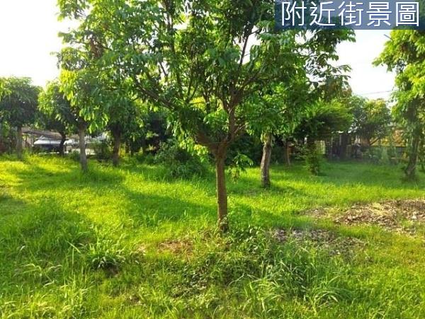 台南安南農地-7