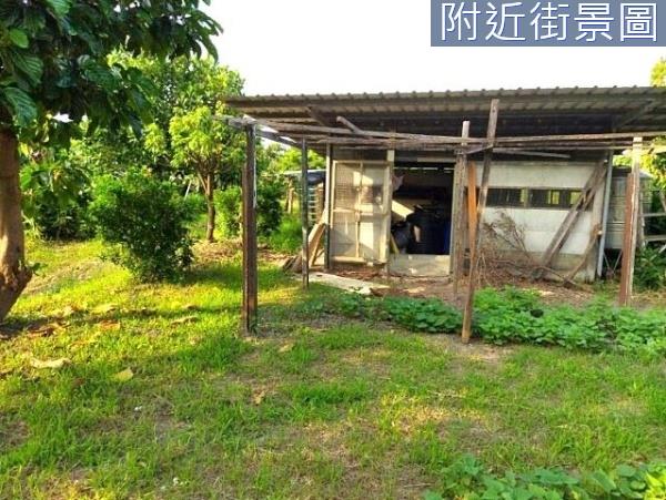 台南安南農地-9