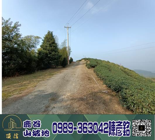 南投鹿谷工業地-9