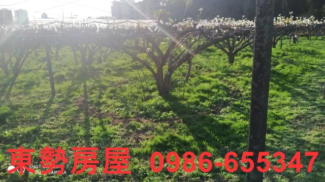 東勢農地-1