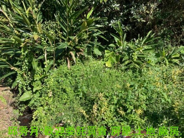新北三芝都市計畫內-2