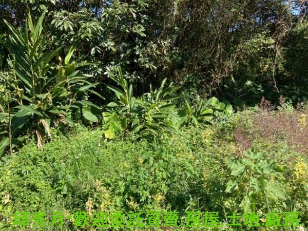 新北三芝都市計畫內-6