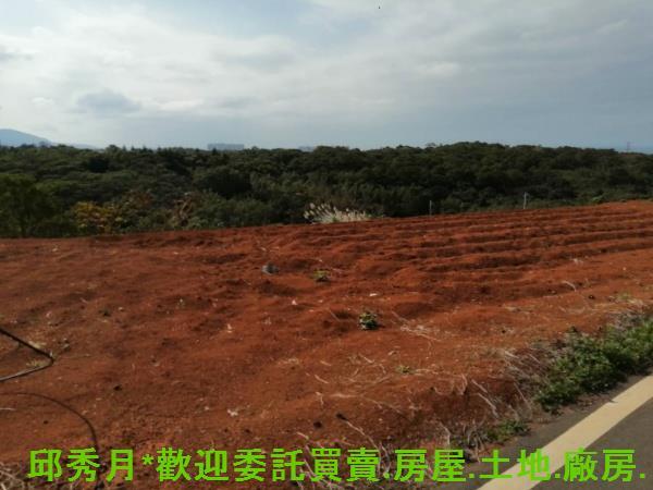 新北淡水農地-3