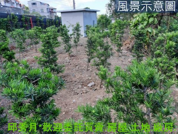 新北淡水農地-2