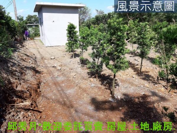 新北淡水農地-3