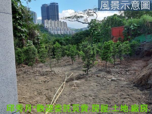 新北淡水農地-4