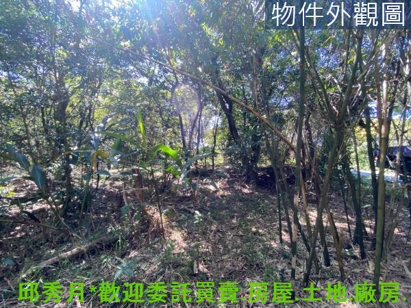 新北淡水農地-11