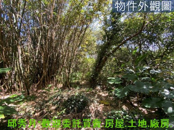 新北淡水農地-12