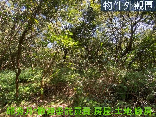 新北淡水農地-6
