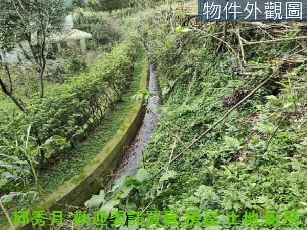 淡水農地-1