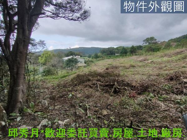 淡水農地-6