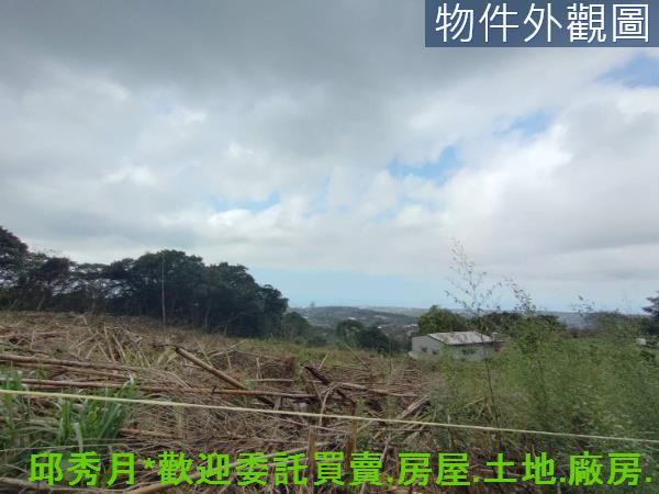 淡水農地-1