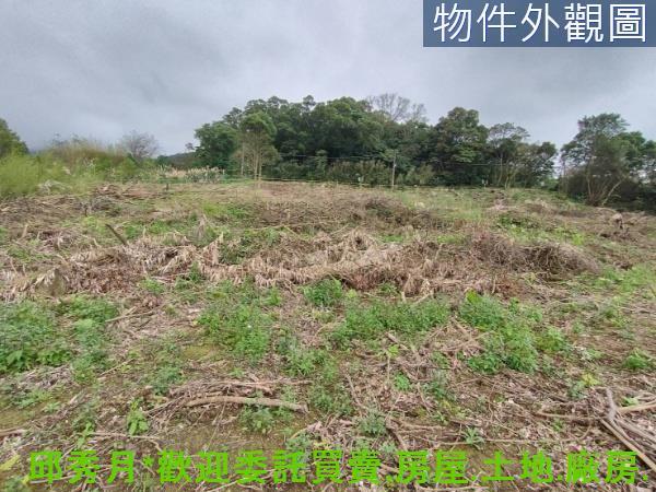 淡水農地-3