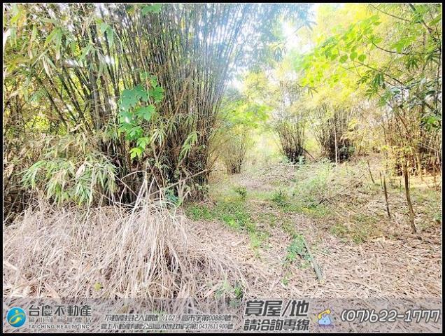 田寮農地-4