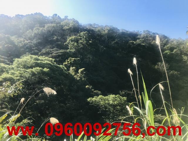 新竹芎林農地-2