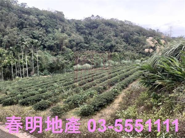 峨眉農地-2