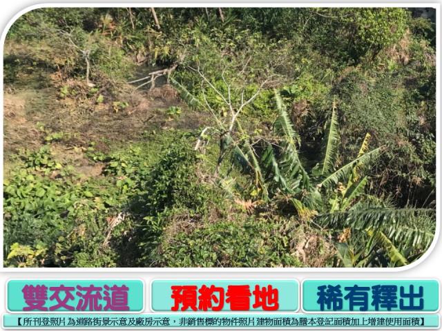 新北樹林工業地-2