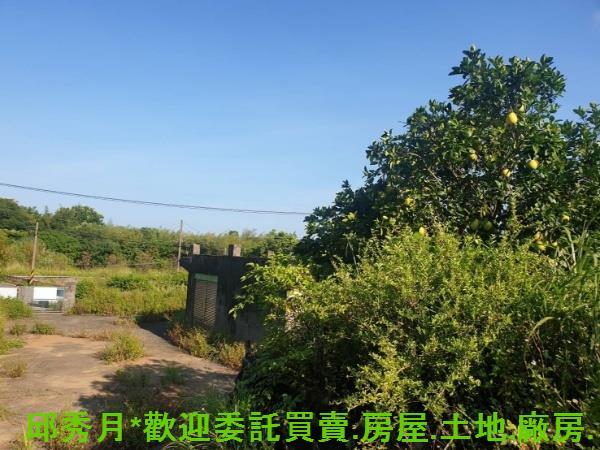 新北石門農地-5