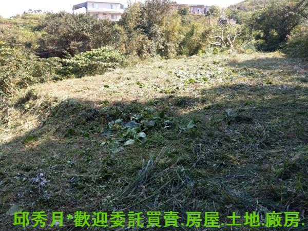石門農地-3
