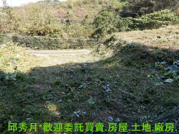 石門農地-4