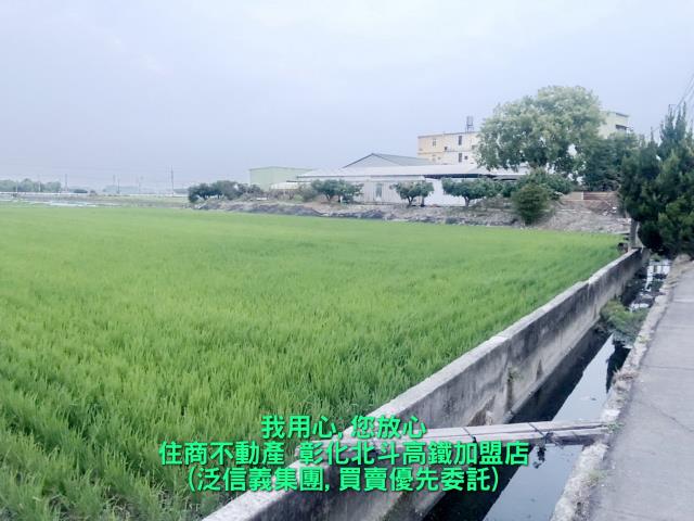 彰化溪州農地-1