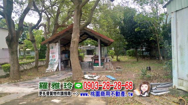 桃園農地-13