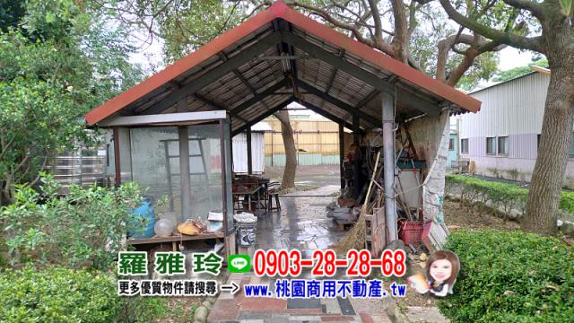 桃園農地-5