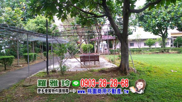桃園農地-8