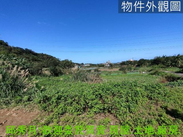 金山農地-4