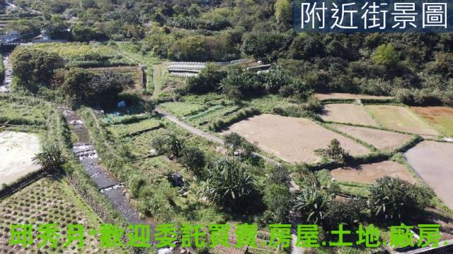 金山農地-5