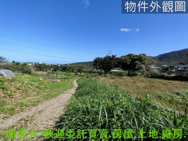 金山農地-6