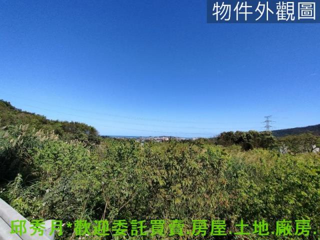 金山農地-7
