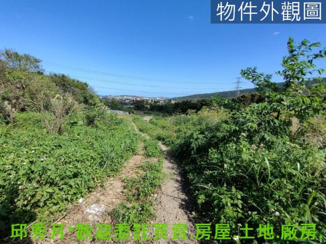 金山農地-8