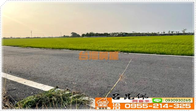 嘉義農地-2