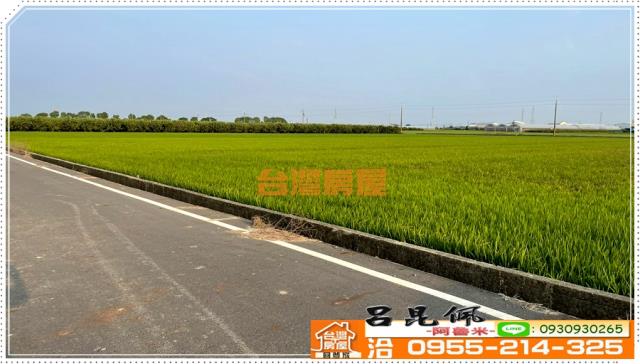嘉義農地-5